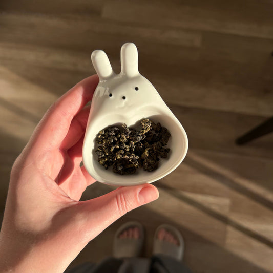 Chahé Bunny