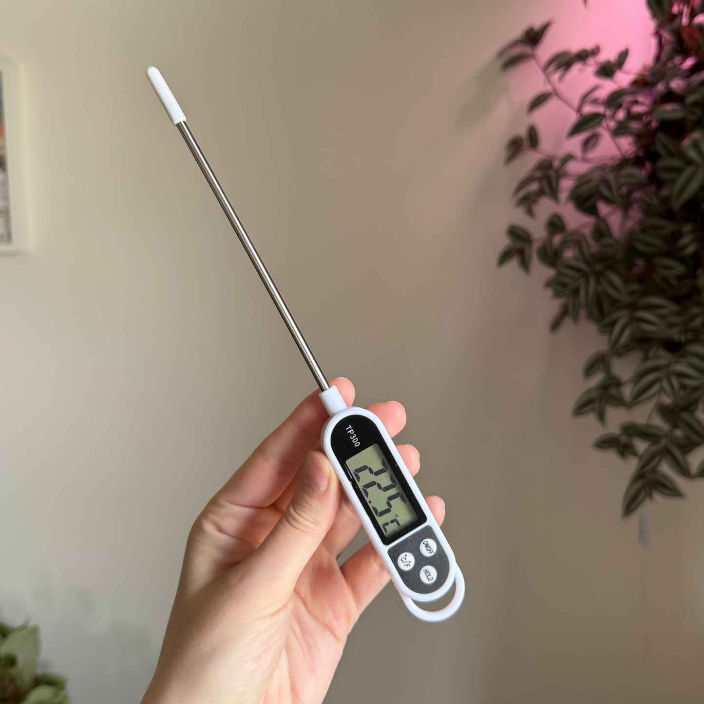 Tea Thermometer with Probe